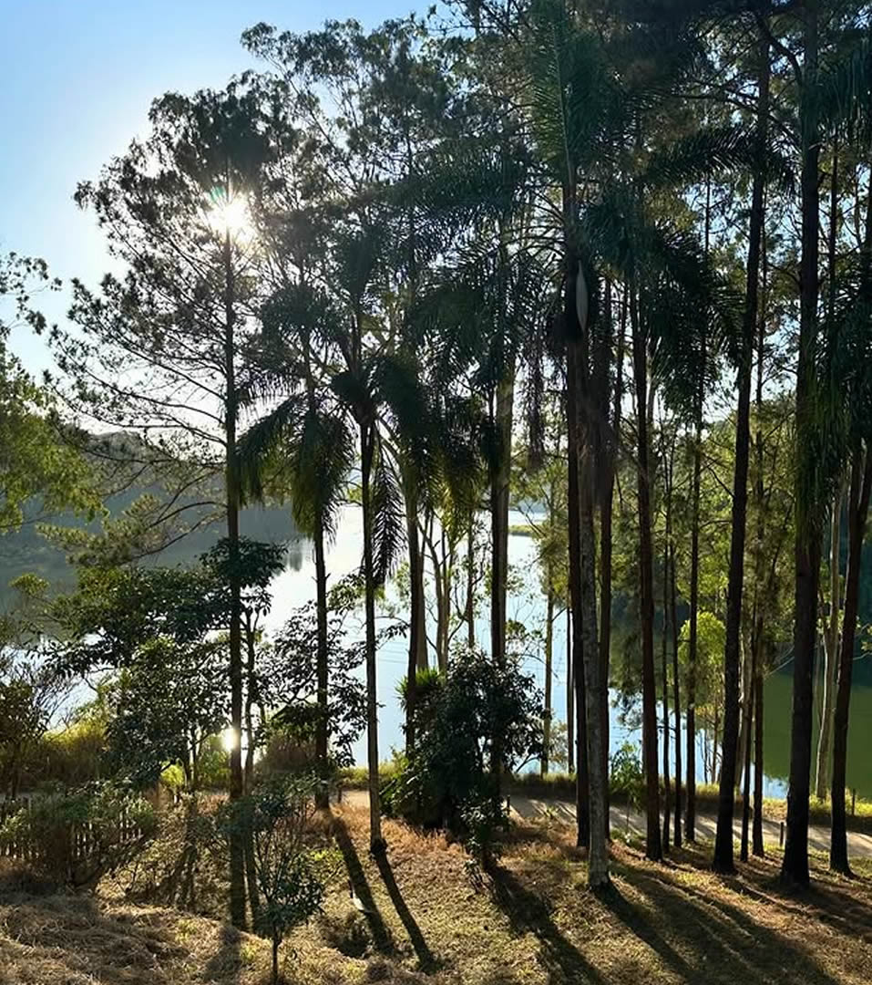 Casamento ao ar livre